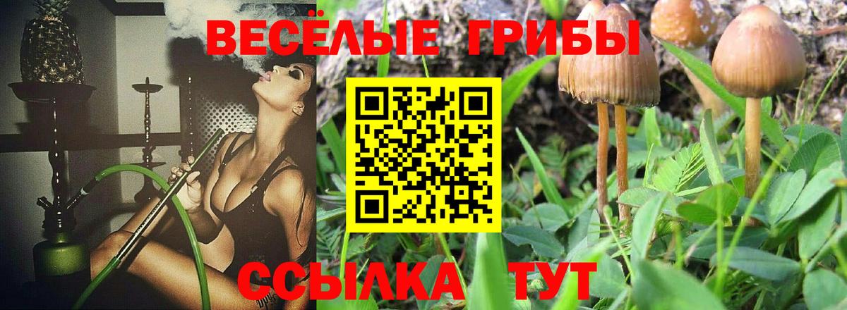 Псилоцибиновые грибы GOLDEN TEACHER  Псилоцибиновые грибы GOLDEN TEACHER  Вход с VPN  хочу   Зима 